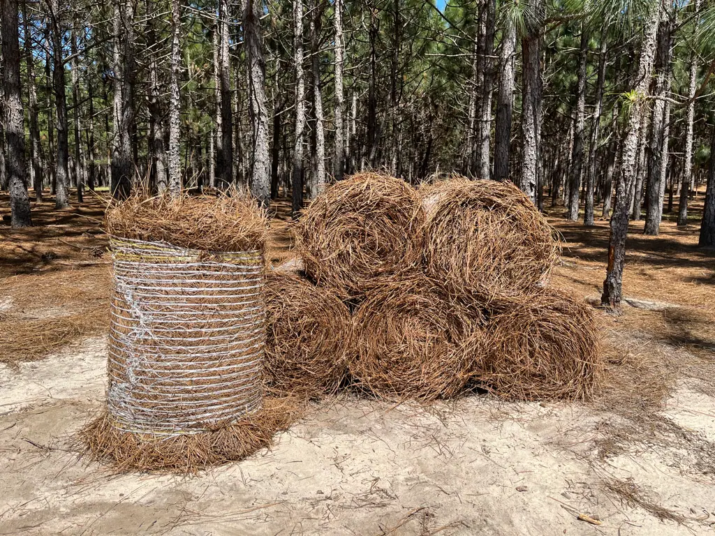 HOA community entrance with fresh pinestraw